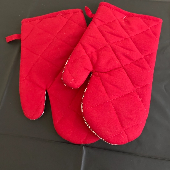 SnowFlake Oven Mittens NWT - Picture 2 of 3